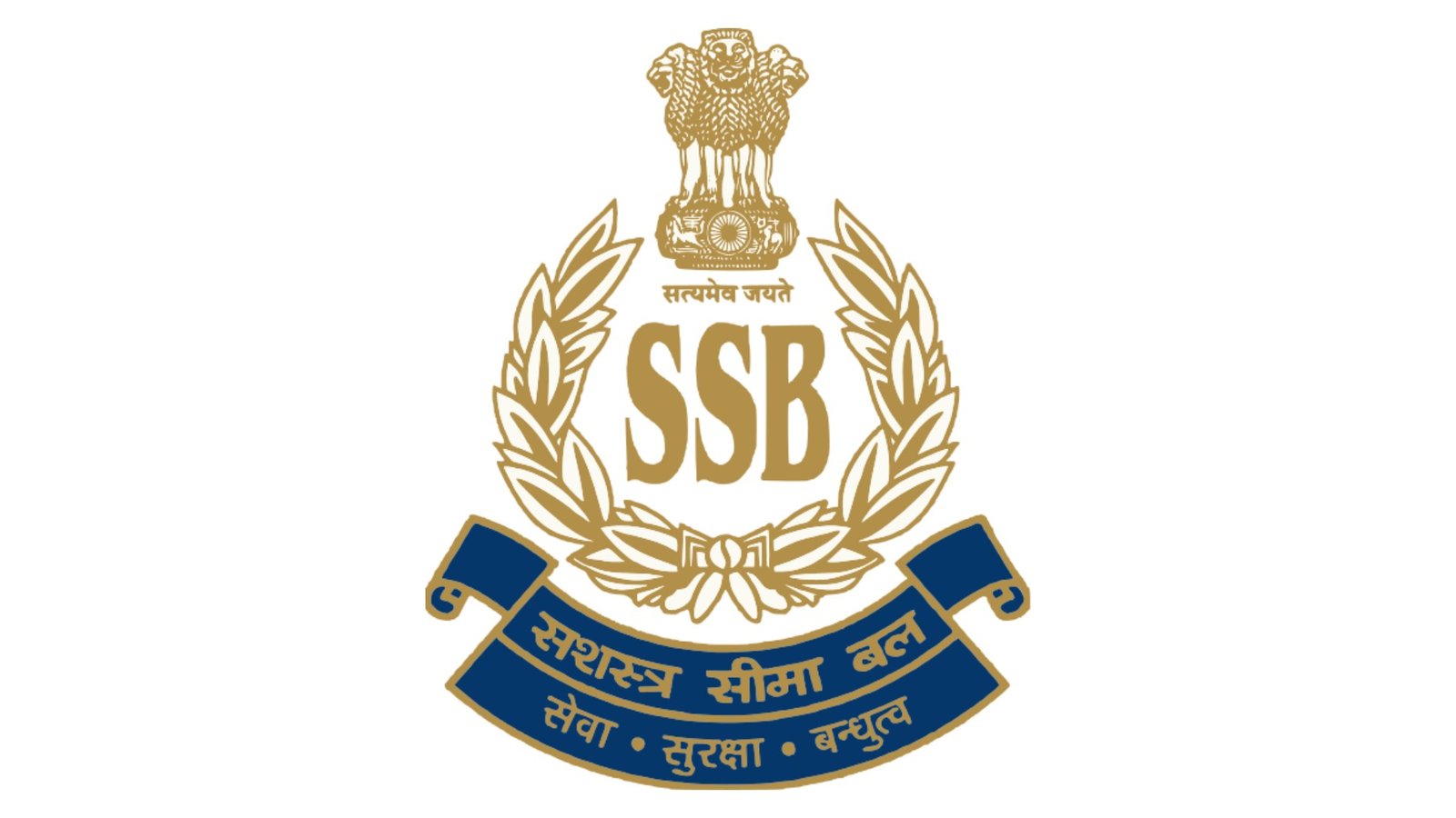 Government Sector