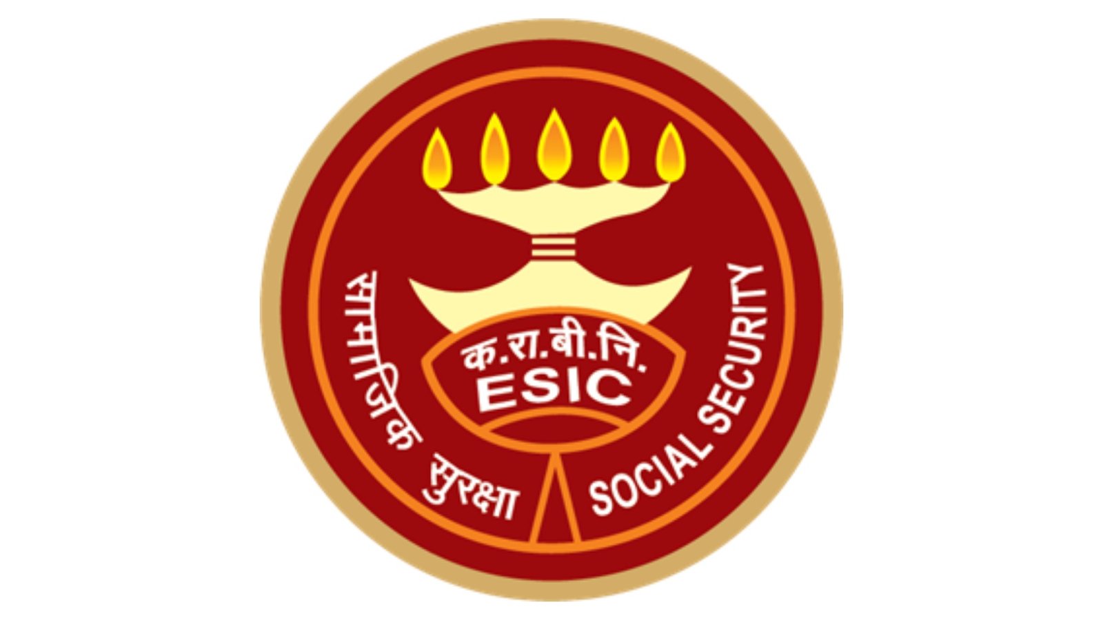 Government Sector